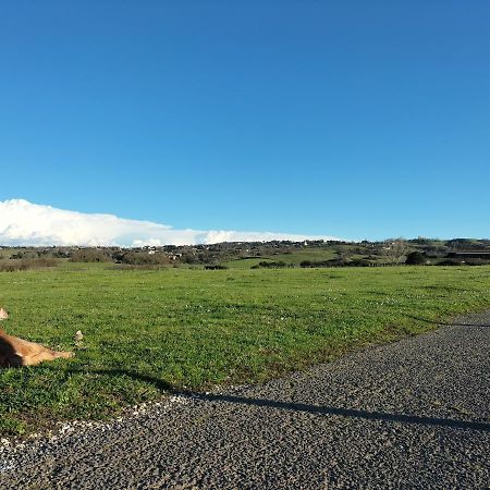 קמפניינו די רומא Rod Ranch Livestock - Appartamento Con Camino E Vista Piscina מראה חיצוני תמונה