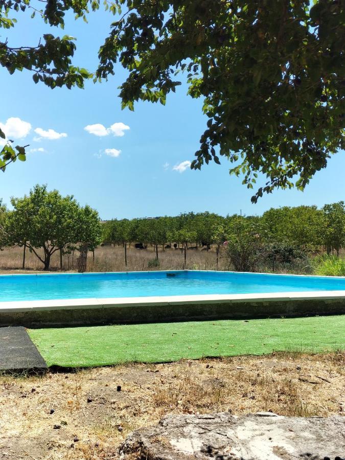 קמפניינו די רומא Rod Ranch Livestock - Appartamento Con Camino E Vista Piscina מראה חיצוני תמונה