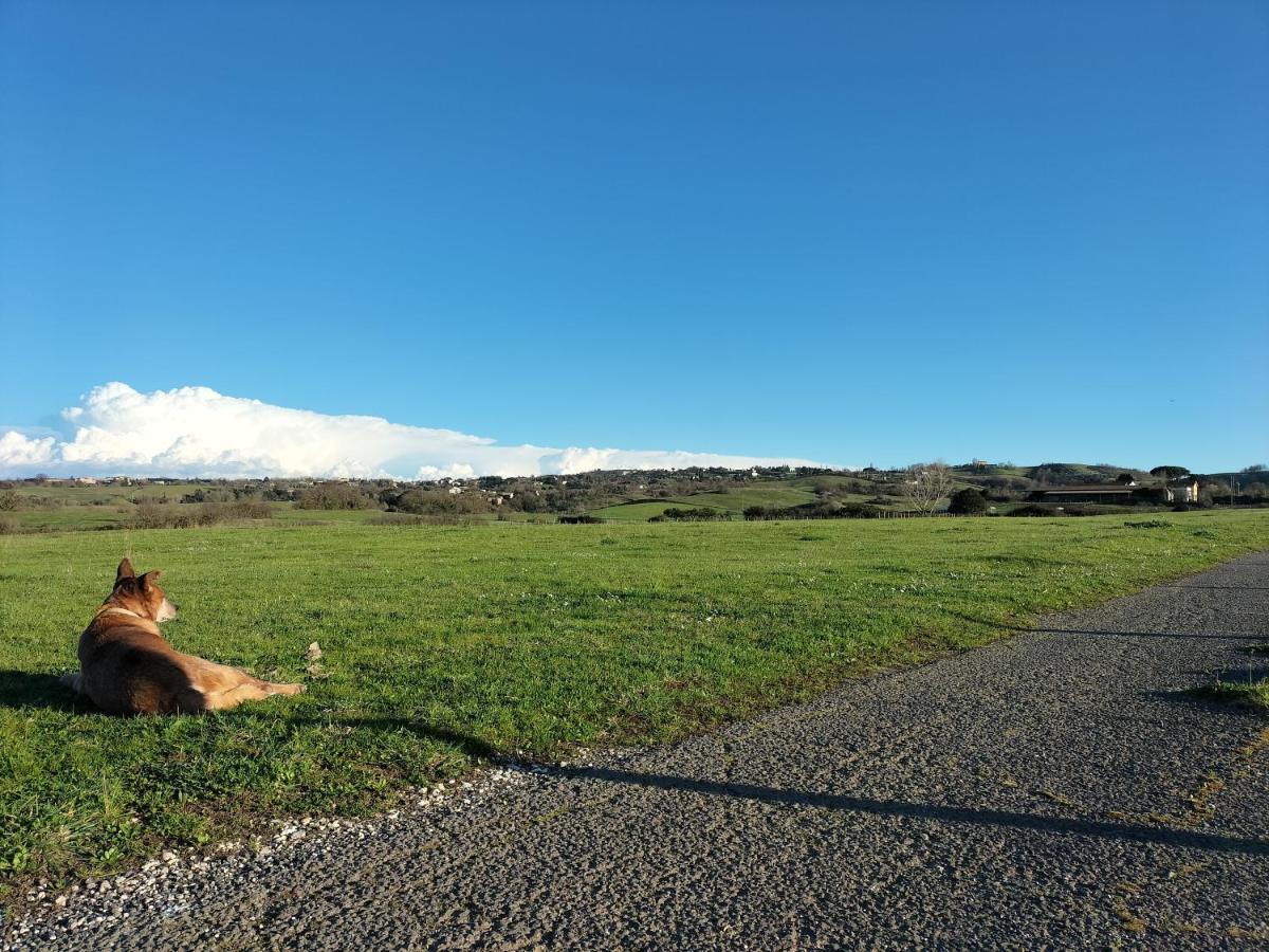 קמפניינו די רומא Rod Ranch Livestock - Appartamento Con Camino E Vista Piscina מראה חיצוני תמונה